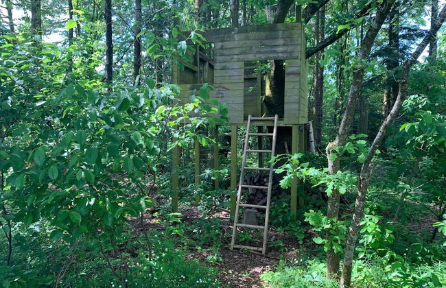 4 Star Holiday Home in Ansager - Photo 26