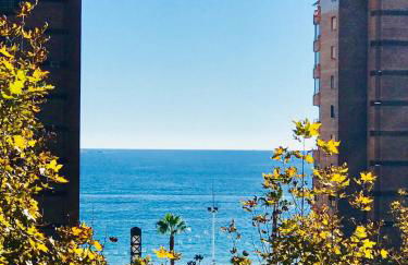 Cometa Center - Photo 17