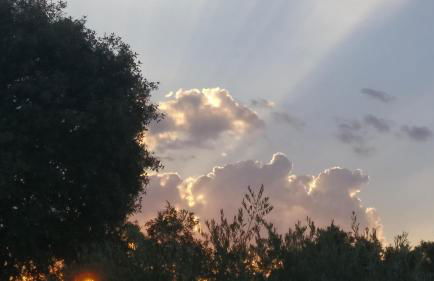 Dos VILLAS ENTRE CIERVOS Y CERVANTES - Foto 49