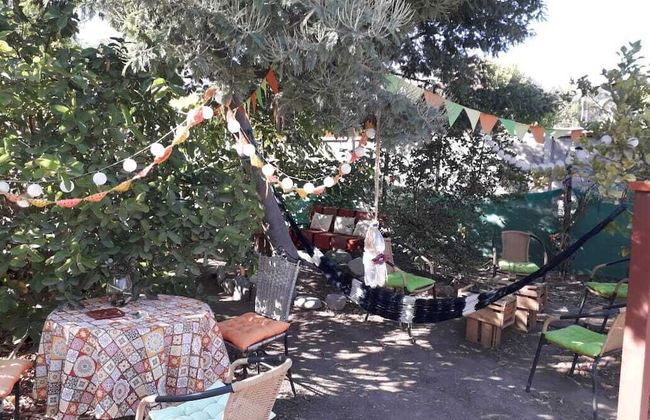 Pura vida cabañas cafetería - Foto 23