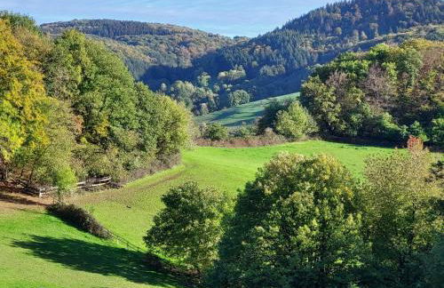 Gorxheimertal 92qm Allergikerfreundlich 2 Schlafzimmer 2 WC Terrasse - Foto 34