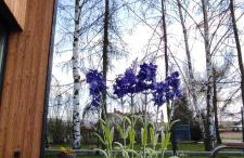 Kotlina Kłodzka Pod Brzozami - Foto 55