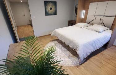 Sur le chemin du Cens - Foto 1