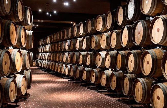 Discover the wine producers of Emilia Romagna - Photo 8