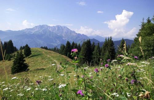 La marmotta gialla - apartment - lakes - mountains - Photo 8