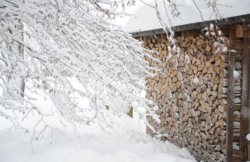 Zuhäusl am Chiemsee Appartements - Foto 33