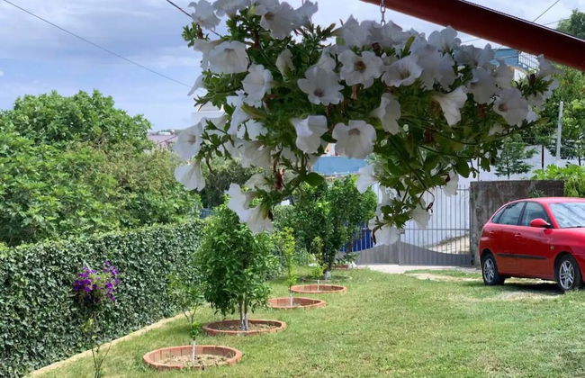 Entire unit near beach access to garden - Photo 17