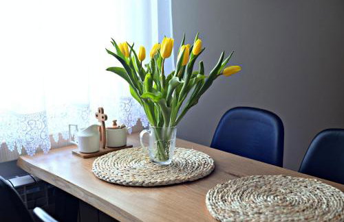 Drozdówka nad Soliną - Domki BOHO - Foto 27