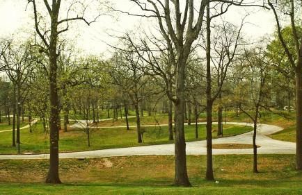 Feel the Berne - Photo 32