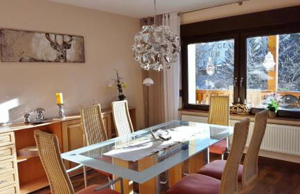 Moderne Komfortwohnung im Kurort am Rennsteig - Foto 7