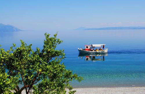 ELENI'S VILLAGE RELAXATION HOME - Photo 59