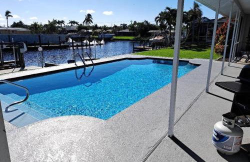 The Playful Pelican - Foto 14