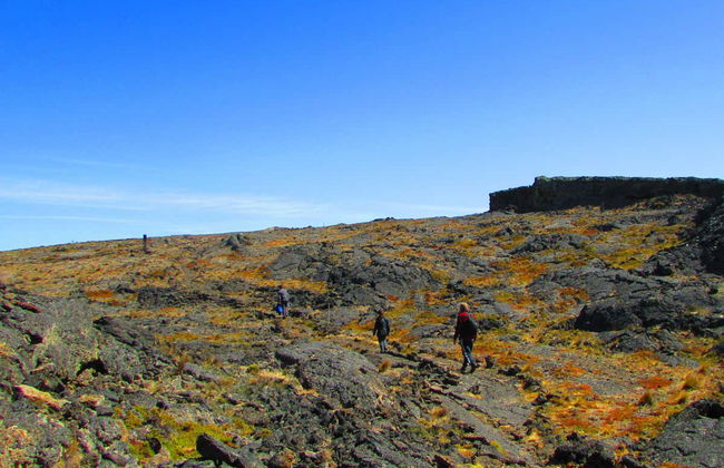 Excursión al Parque Nacional Pali Aike - Foto 7