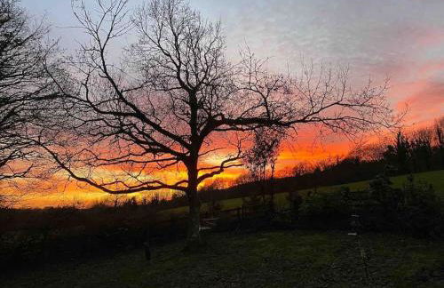 Beautiful renovated former coach house - Photo 16