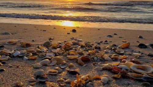 Patio Condo Superior - Sleeps 6 Guests 204 - Foto 3