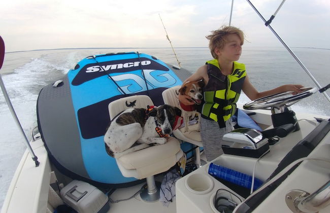 Casa Newmark Holiday home 7 BestStayz.1 - Foto 32