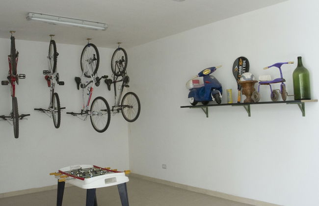 Viola nel Parco - Foto 49