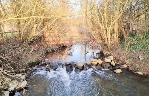 Heartwarming Cottage - Foto 18