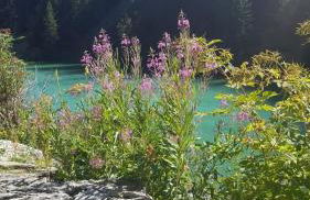 Penthouse l'Ourse Bleue - Sauna privatif - accès direct aux pistes - Foto 47