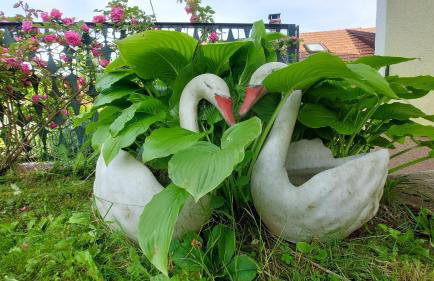 Kuća za odmor ,Erdelj 21 B - Foto 42