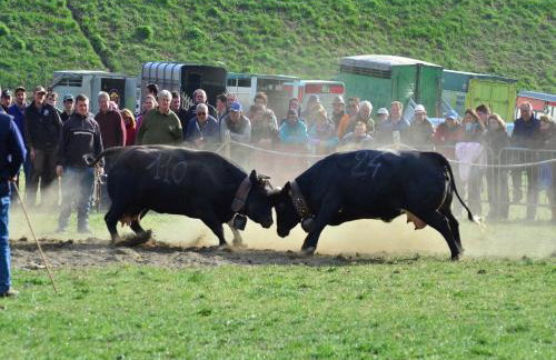 Apartment in Antey-saint-andre Near Ski Area - Foto 46