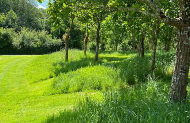 Devon Country Retreat The Linhay at Collaton Farm - Foto 46