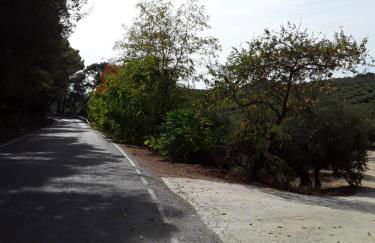 Hacienda La buena vida B&B en appartementen casita la bruja - Foto 28