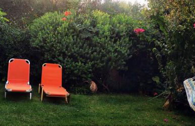 Elia Guesthouse - Kissamos - Foto 45