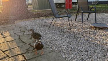 The Getaway Billing Aquadrome - Photo 2