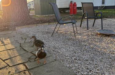 The Getaway Billing Aquadrome - Foto 2