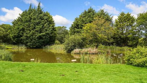 Mwsogl - Luxurious Family Fishing Lodge Near Aberaeron With Private Fishing - Foto 5