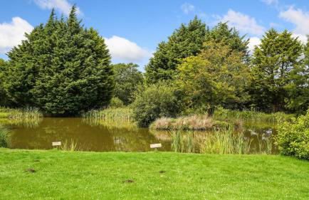 Mwsogl - Luxurious Family Fishing Lodge Near Aberaeron With Private Fishing - Photo 5