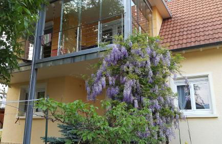 Ferienwohnung Miezerle - Foto 11