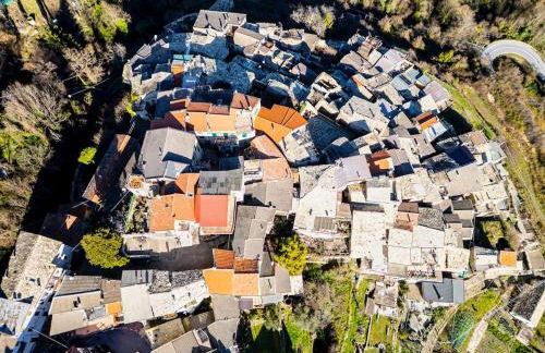 La Casa della Musica - Foto 2