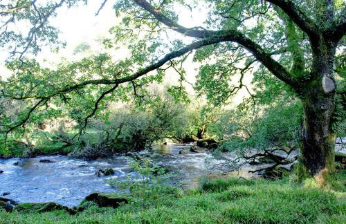 Little Meadow - Foto 21