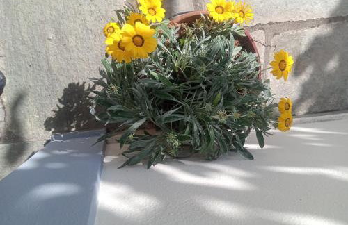 Guesthouse Kallisti - Foto 20