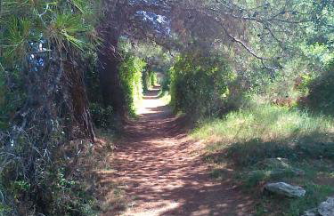 Apartment Pilatus Ošljak - Photo 60