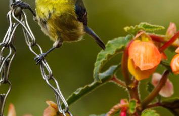 Elm Tree Cottage - Photo 7