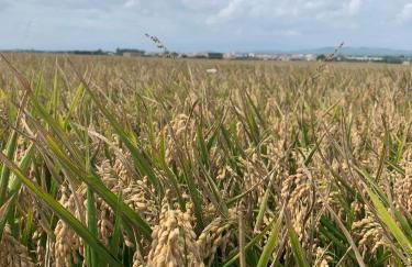 Casa Enric , con zona infantil, piscina y parking privado - Foto 43