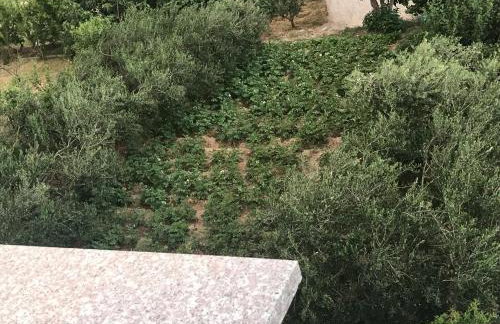 Apartman MIG - Foto 30