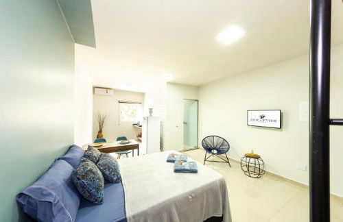 Jahu Center Plaza Flats - Photo 6