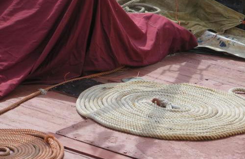 Breizh carpe diem - Photo 44