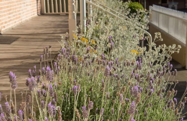 Spencer Cottage - Photo 14