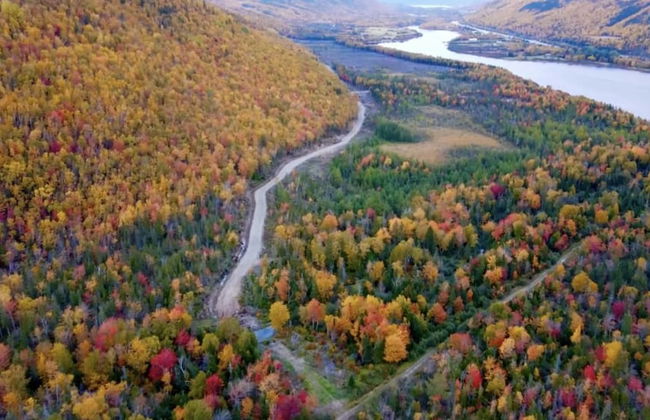 Bonne Bay Cottages - Photo 44