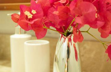 Kite Oasis Parajuru Casa Branca - Photo 52