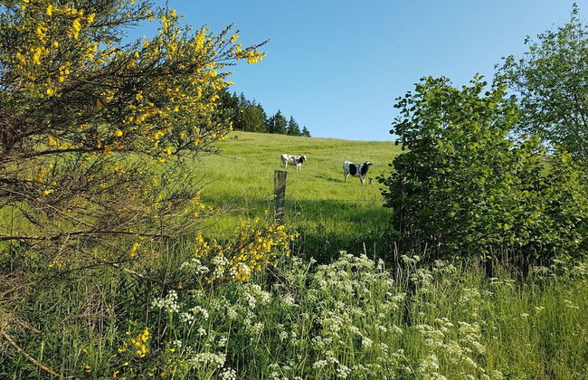 Eifel Farmhouse Retreat - Foto 28