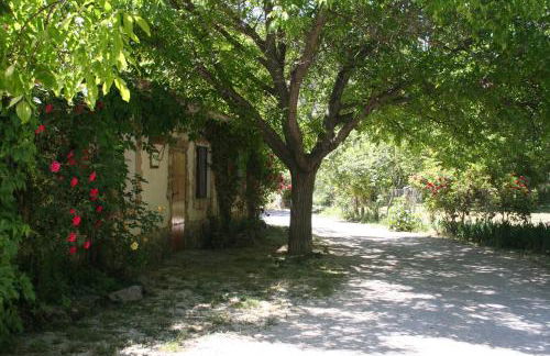 Casas Rurales Los Enebros Nerpio - Foto 35