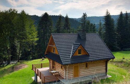 Chata na Kowalówkach - domek w górach - blisko szlaków i wyciągu - Foto 2