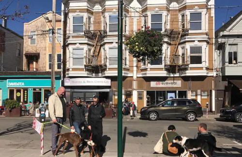 Totally Renovated Victorian House in Center SF! - Foto 38