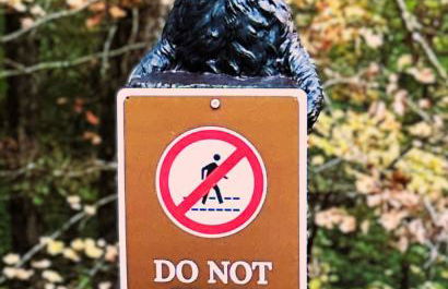 4 BR Mountain Cabin with Hot Tub & Fire Pit in GA - Foto 47